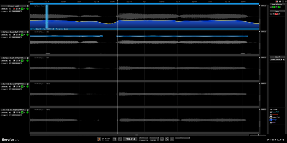 Get Synchro Arts Revoice Pro 5 - Advanced Vocal Tuning Software