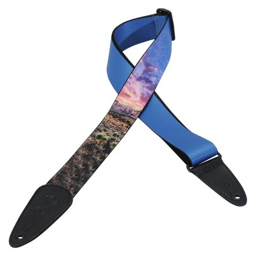 Hot Deal! Levy's MPDS2-004 Sublimation-Printed 2' Guitar Strap with Adjustable Length